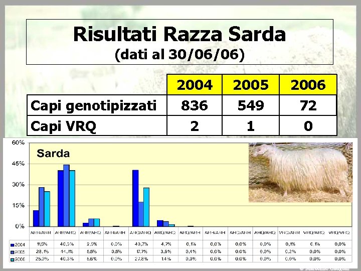 Risultati Razza Sarda (dati al 30/06/06) Capi genotipizzati Capi VRQ 2004 836 2 2005