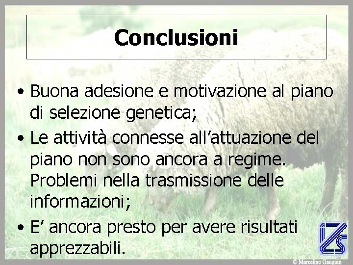 Conclusioni • Buona adesione e motivazione al piano di selezione genetica; • Le attività