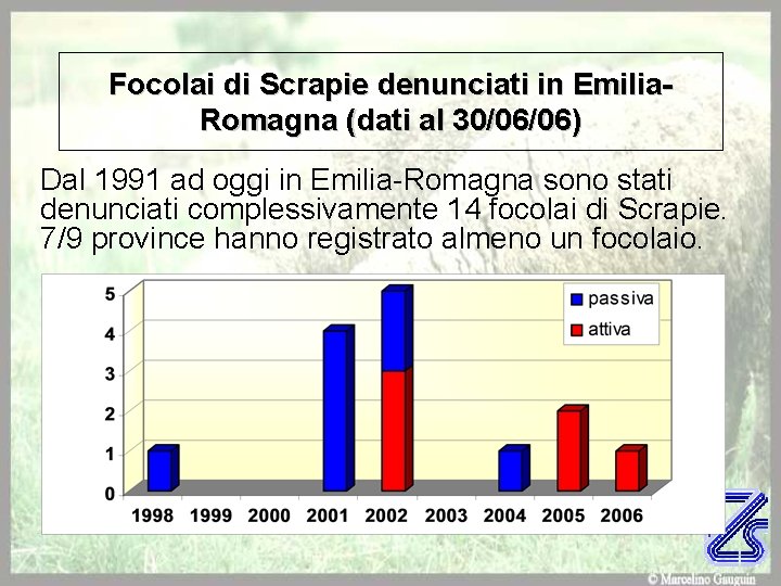 Focolai di Scrapie denunciati in Emilia. Romagna (dati al 30/06/06) Dal 1991 ad oggi