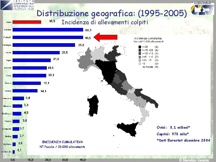 Distribuzione geografica: (1995 -2005) Incidenza di allevamenti colpiti Ovini: 8, 1 milioni* Caprini: 978