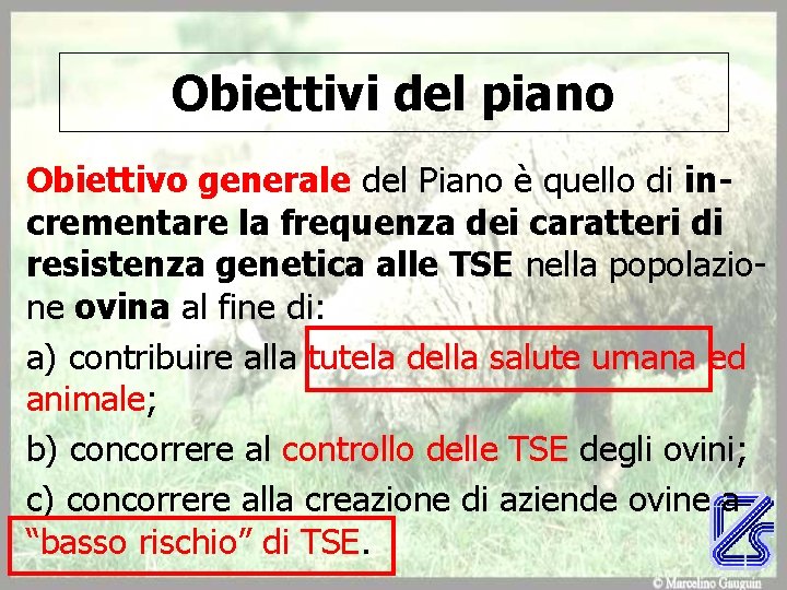 Obiettivi del piano Obiettivo generale del Piano è quello di incrementare la frequenza dei