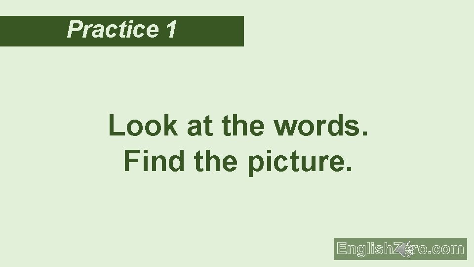 Practice 1 Look at the words. Find the picture. 