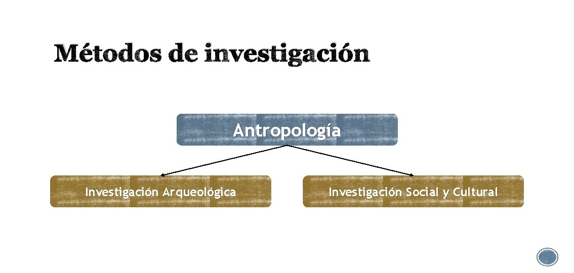Métodos de investigación Antropología Investigación Arqueológica Investigación Social y Cultural 