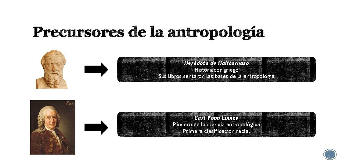 Precursores de la antropología Heródoto de Halicarnaso Historiador griego Sus libros sentaron las bases
