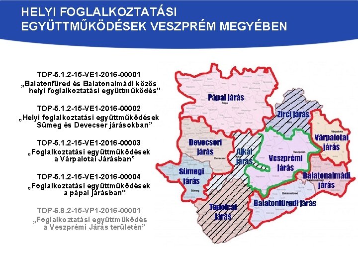 HELYI FOGLALKOZTATÁSI EGYÜTTMŰKÖDÉSEK VESZPRÉM MEGYÉBEN TOP-5. 1. 2 -15 -VE 1 -2016 -00001 „Balatonfüred