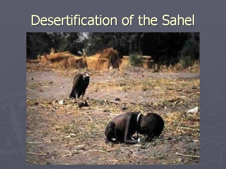 Desertification of the Sahel 