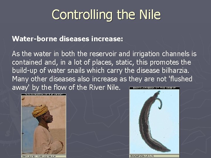 Controlling the Nile Water-borne diseases increase: As the water in both the reservoir and