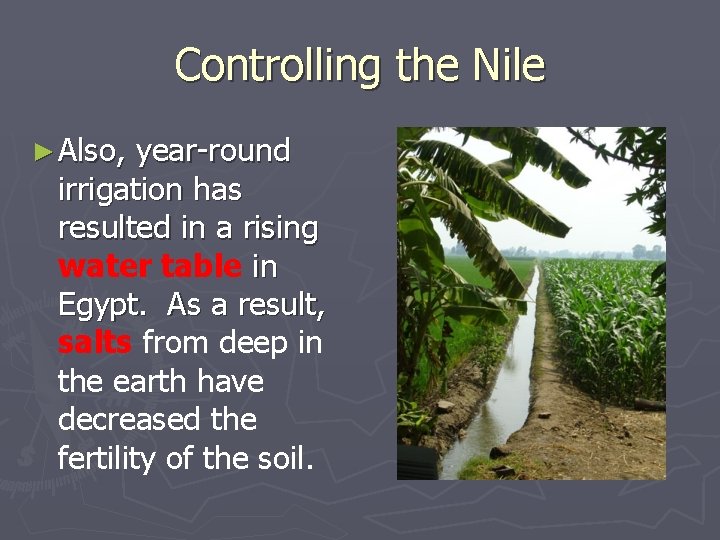 Controlling the Nile ► Also, year-round irrigation has resulted in a rising water table