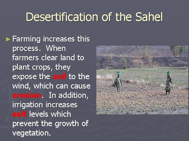 Desertification of the Sahel ► Farming increases this process. When farmers clear land to