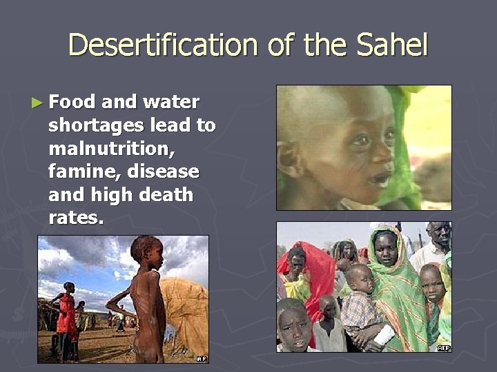 Desertification of the Sahel ► Food and water shortages lead to malnutrition, famine, disease