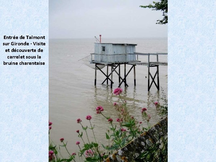 Entrée de Talmont sur Gironde - Visite et découverte de carrelet sous la bruine