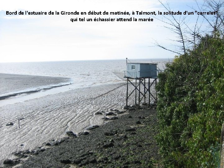 Bord de l'estuaire de la Gironde en début de matinée, à Talmont, la solitude