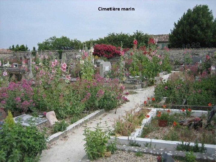 Cimetière marin 