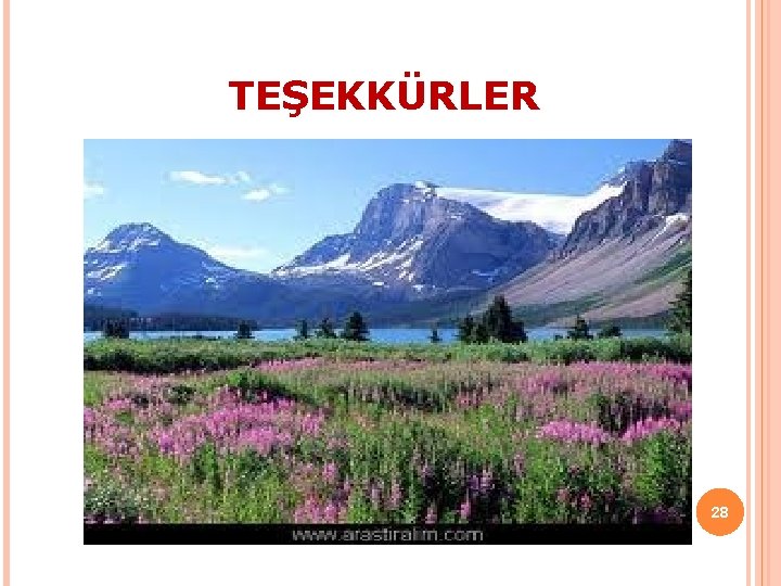 TEŞEKKÜRLER 28 