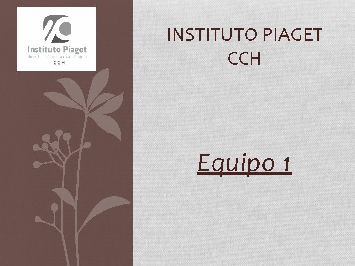 INSTITUTO PIAGET CCH Equipo 1 