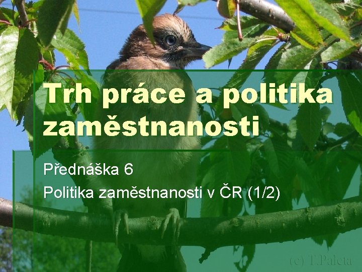 Trh práce a politika zaměstnanosti Přednáška 6 Politika zaměstnanosti v ČR (1/2) 