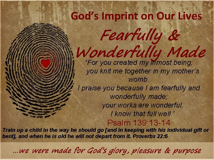 God’s Imprint on Our Lives Fearfully & Wonderfully Made “For you created my inmost