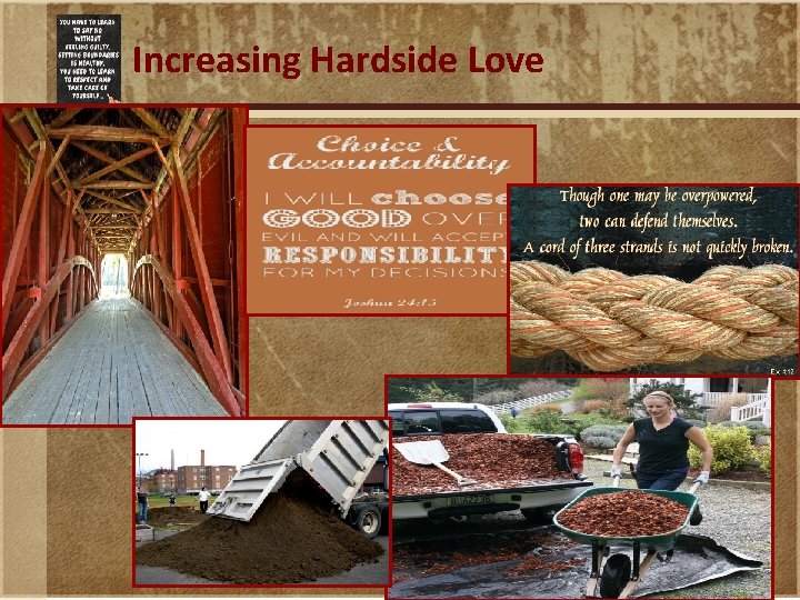 Increasing Hardside Love 