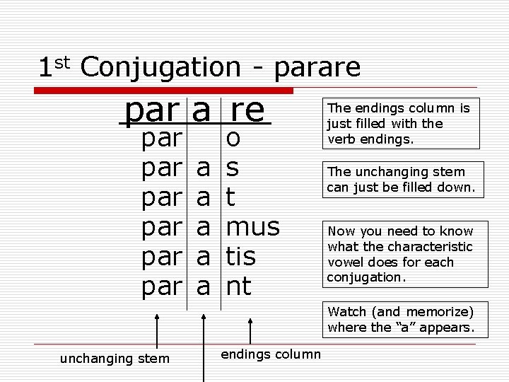 First Party Verb The Verb Party I Proper format of verbs