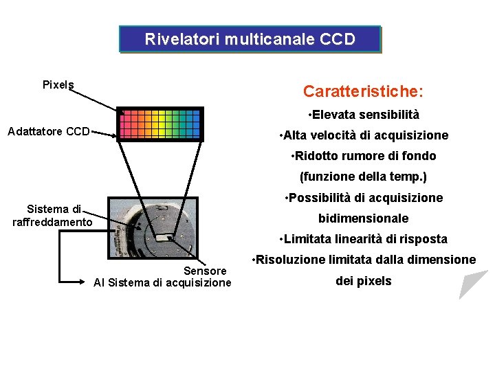 Rivelatori multicanale CCD Pixels Caratteristiche: • Elevata sensibilità Adattatore CCD • Alta velocità di