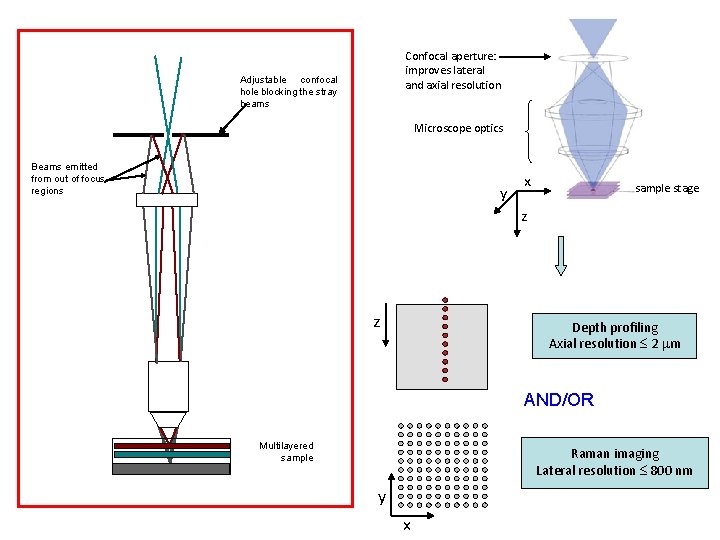 Confocal aperture: improves lateral and axial resolution Adjustable confocal hole blocking the stray beams