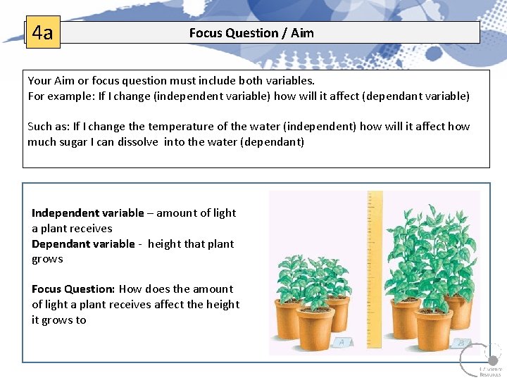4 a Focus Question / Aim Your Aim or focus question must include both 4 a Focus Question / Aim Your Aim or focus question must include both