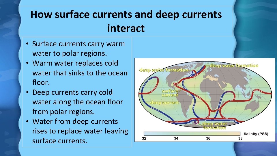 How surface currents and deep currents interact • Surface currents carry warm water to