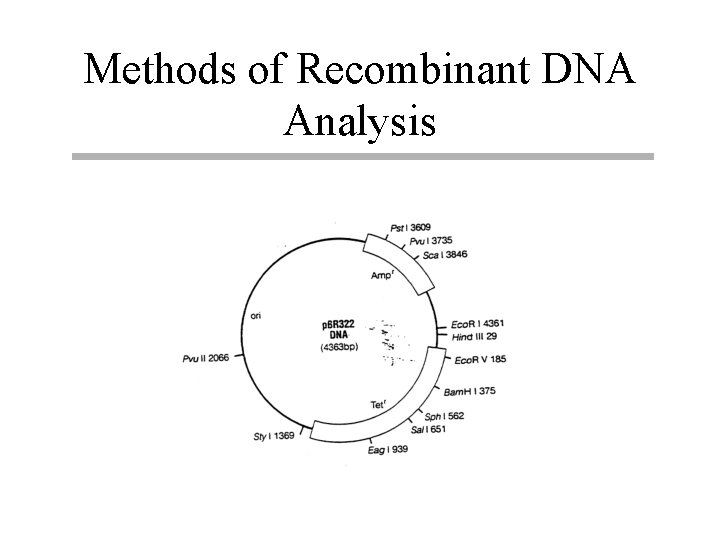 Methods of Recombinant DNA Analysis 