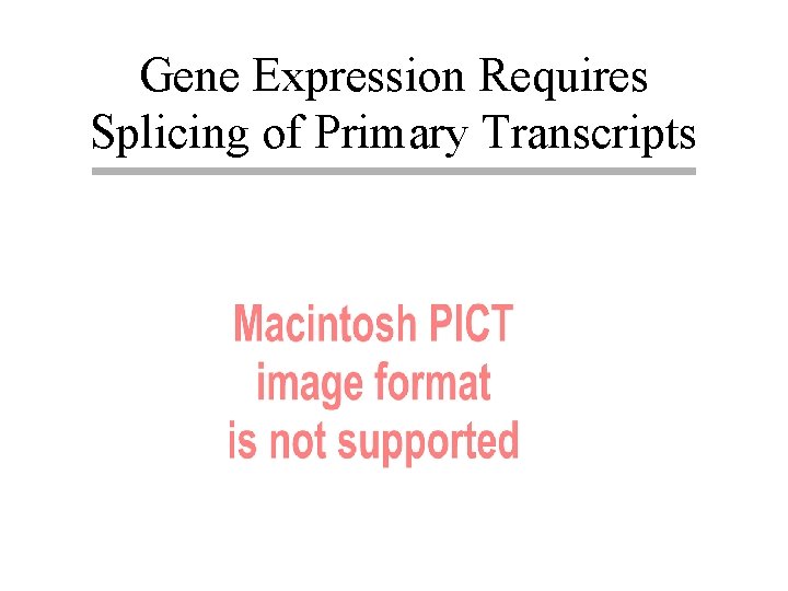 Gene Expression Requires Splicing of Primary Transcripts 