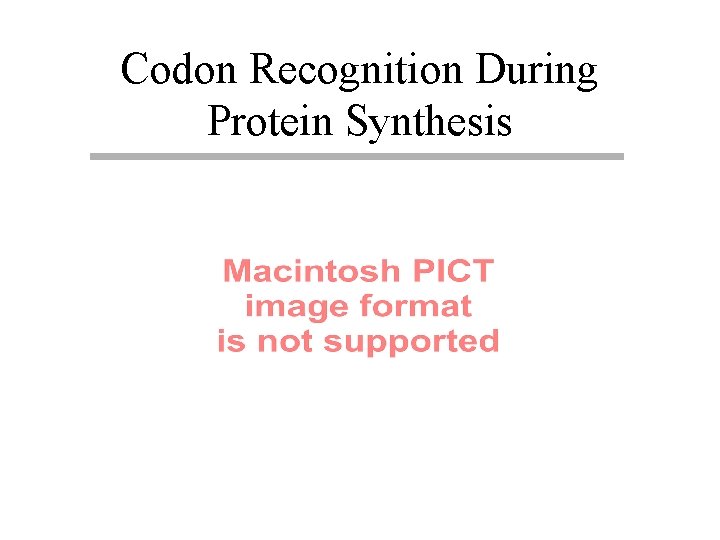 Codon Recognition During Protein Synthesis 