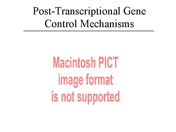 Post-Transcriptional Gene Control Mechanisms 