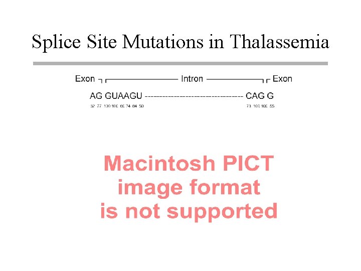 Splice Site Mutations in Thalassemia 