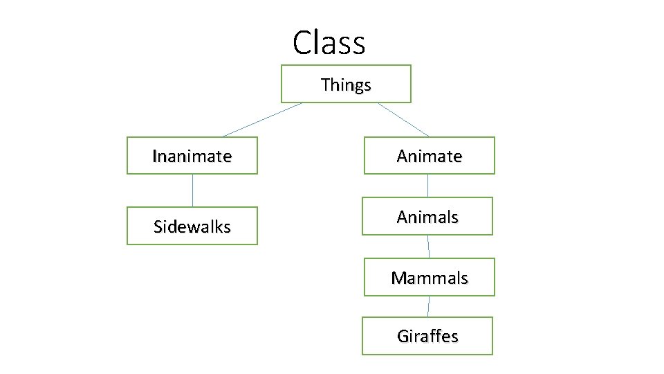 Class Things Inanimate Sidewalks Animate Animals Mammals Giraffes 