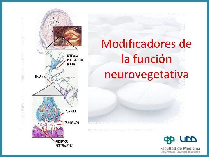 Modificadores de la función neurovegetativa 