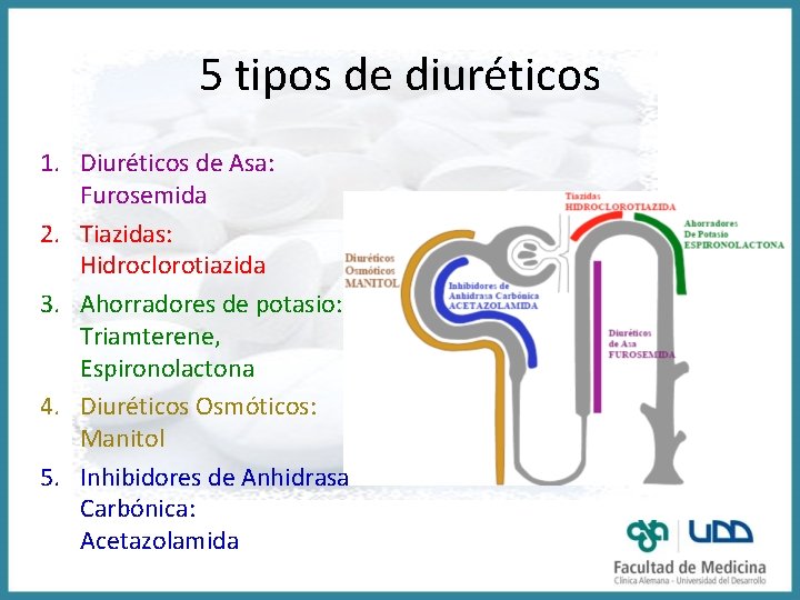 5 tipos de diuréticos 1. Diuréticos de Asa: Furosemida 2. Tiazidas: Hidroclorotiazida 3. Ahorradores