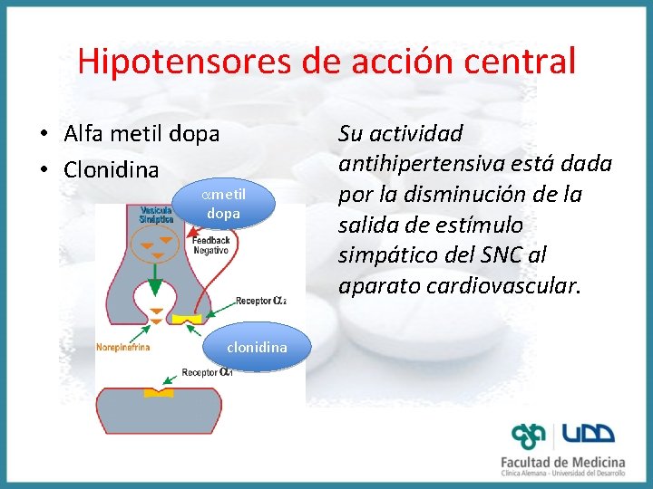 Hipotensores de acción central • Alfa metil dopa • Clonidina ametil dopa clonidina Su