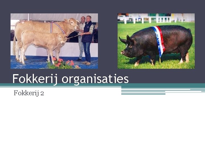 Fokkerij organisaties Fokkerij 2 