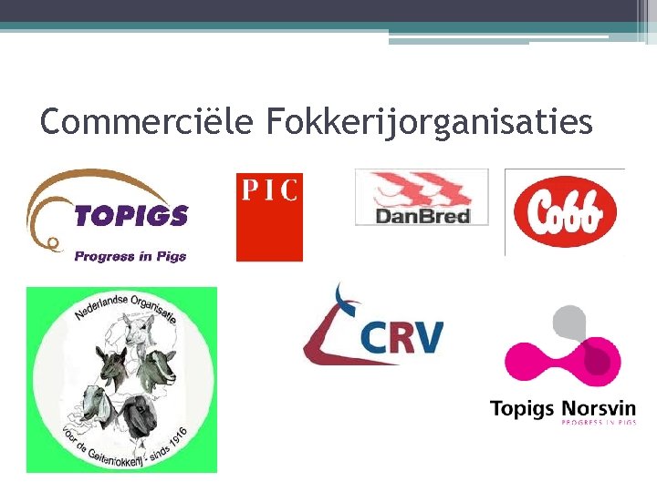 Commerciële Fokkerijorganisaties 