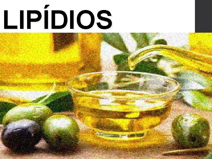 LIPÍDIOS 