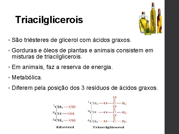 Triacilglicerois • São triésteres de glicerol com ácidos graxos. • Gorduras e óleos de