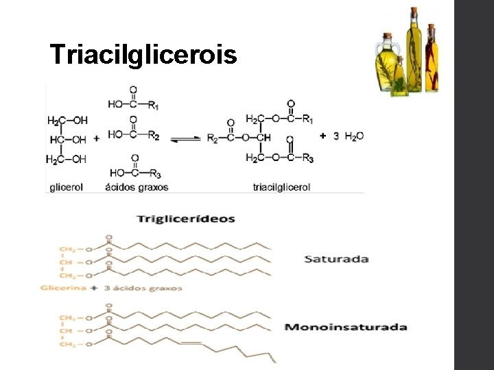 Triacilglicerois 