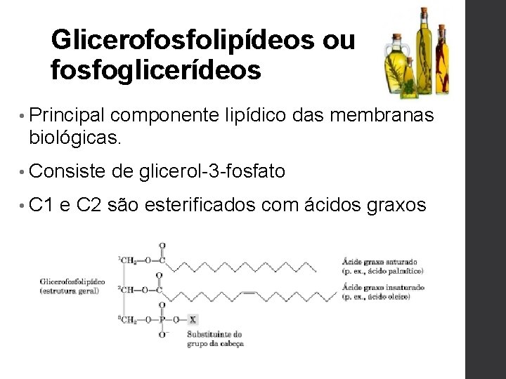 Glicerofosfolipídeos ou fosfoglicerídeos • Principal componente lipídico das membranas biológicas. • Consiste • C