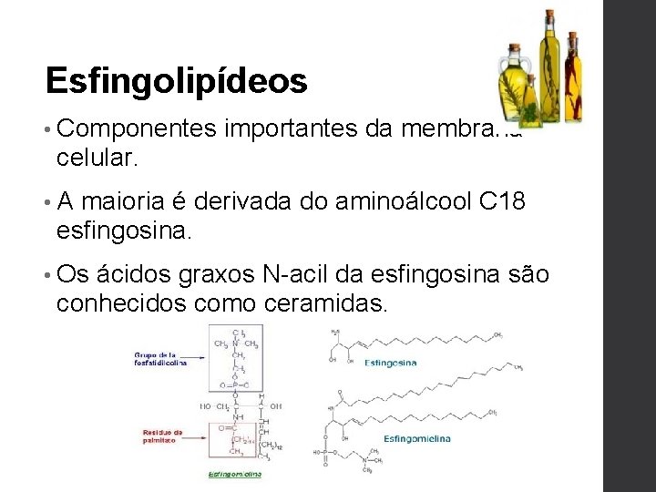 Esfingolipídeos • Componentes importantes da membrana celular. • A maioria é derivada do aminoálcool