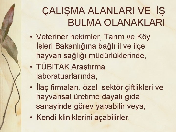 ÇALIŞMA ALANLARI VE İŞ BULMA OLANAKLARI • Veteriner hekimler, Tarım ve Köy İşleri Bakanlığına