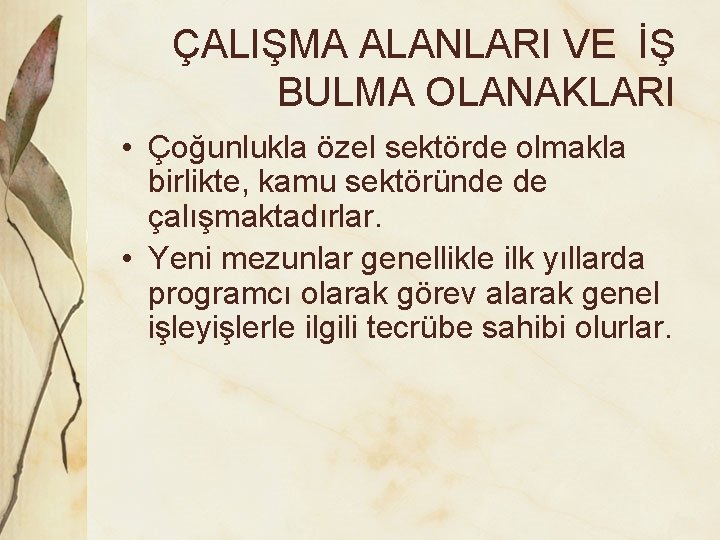 ÇALIŞMA ALANLARI VE İŞ BULMA OLANAKLARI • Çoğunlukla özel sektörde olmakla birlikte, kamu sektöründe