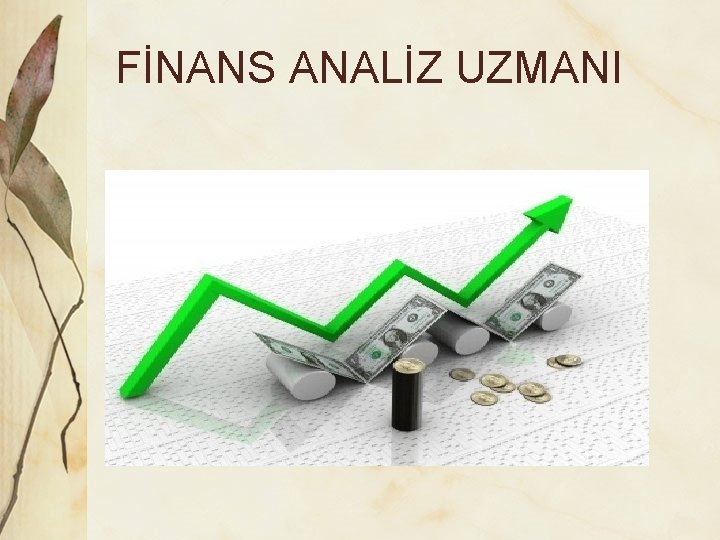 FİNANS ANALİZ UZMANI 