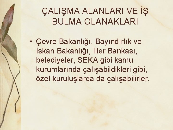 ÇALIŞMA ALANLARI VE İŞ BULMA OLANAKLARI • Çevre Bakanlığı, Bayındırlık ve İskan Bakanlığı, İller