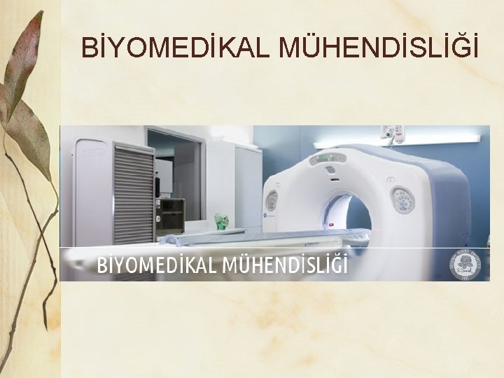 BİYOMEDİKAL MÜHENDİSLİĞİ 