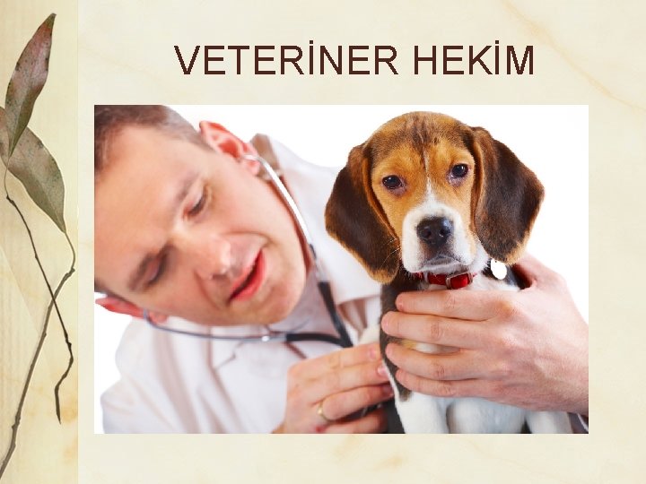 VETERİNER HEKİM 