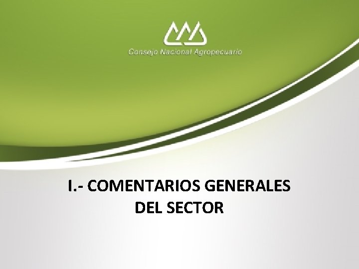 I. - COMENTARIOS GENERALES DEL SECTOR 